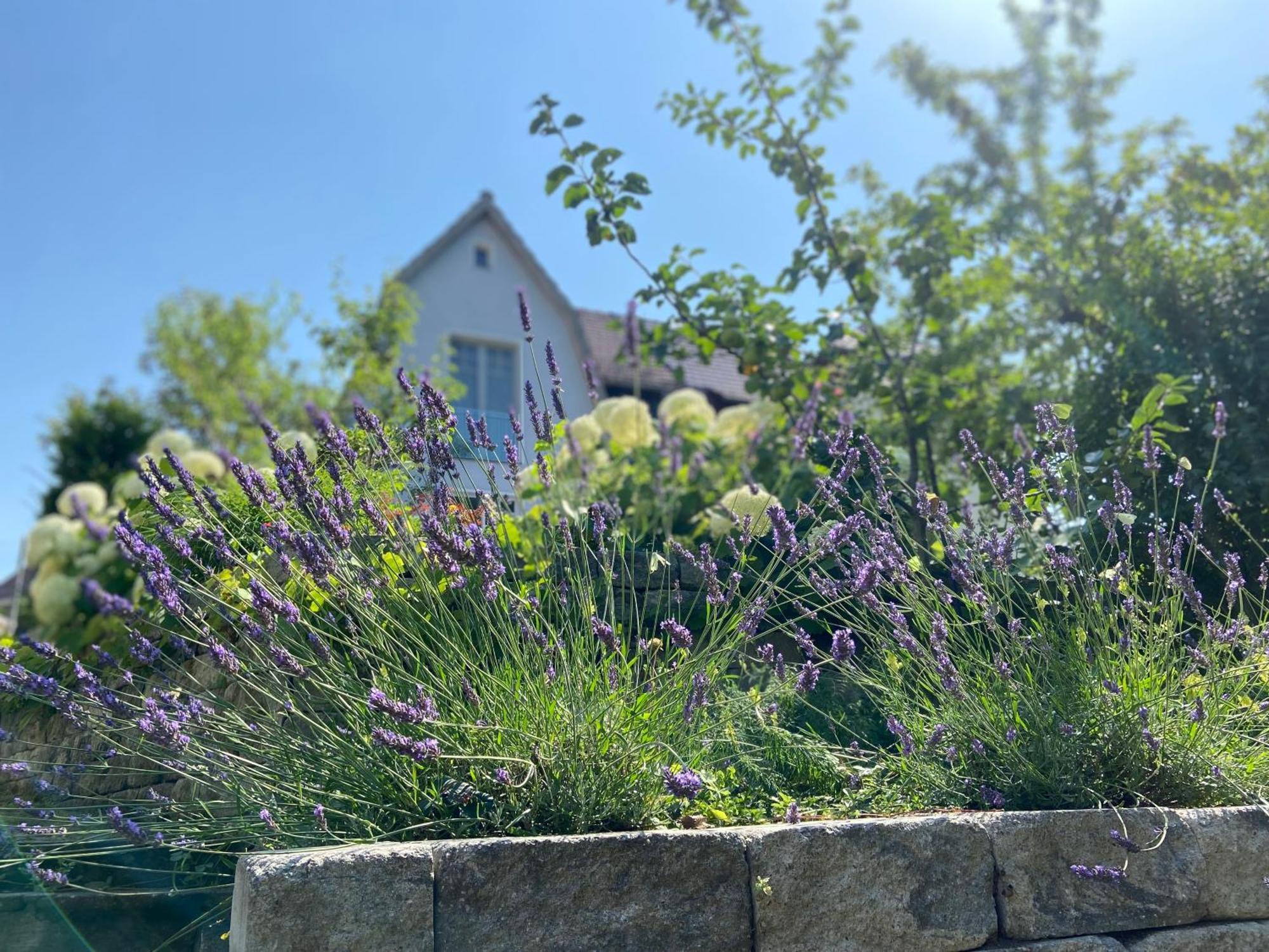 Romantik Idyll Am Tiefental Konigsbruck Екстериор снимка