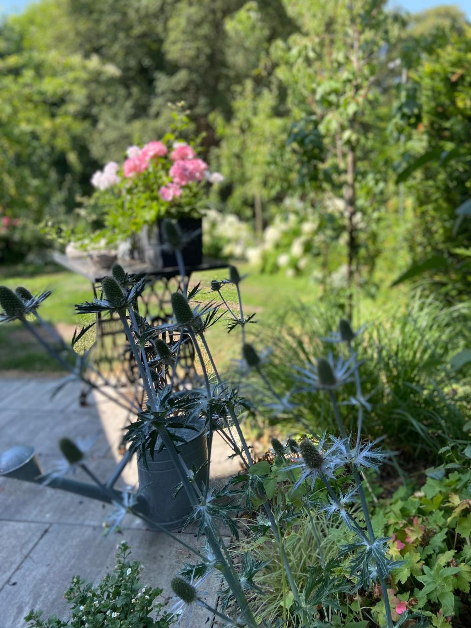 Romantik Idyll Am Tiefental Konigsbruck Екстериор снимка